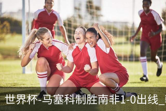 世界杯-马塞科制胜南非1-0出线 韩国积3分获小组第三待定
