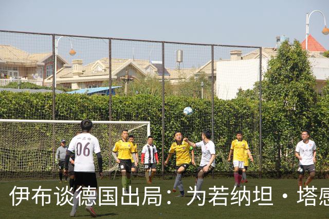 伊布谈德国出局：为若纳坦·塔感到遗憾 淘汰赛和点球就这么残酷