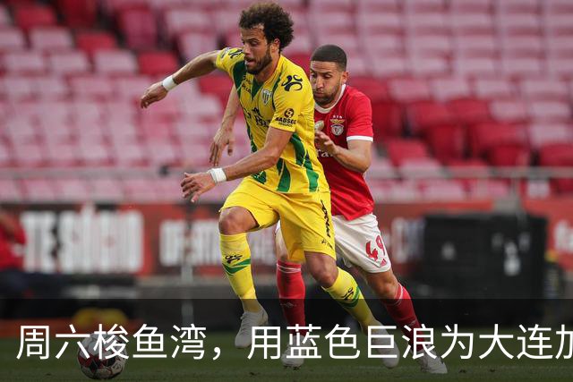 周六梭鱼湾，用蓝色巨浪为大连加油 ！