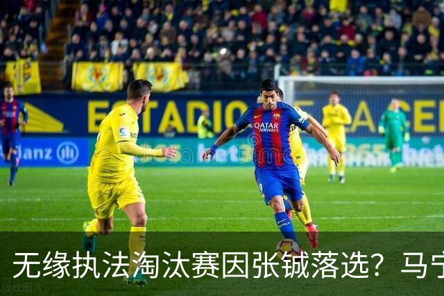 无缘执法淘汰赛因张铖落选？马宁否认：我特别清楚他的表现怎么样