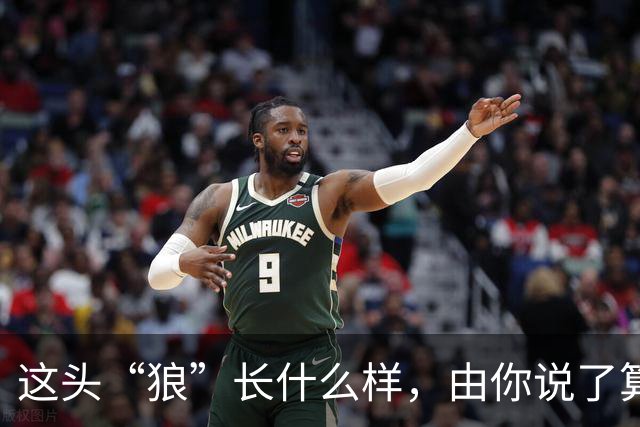 这头“狼”长什么样，由你说了算！璧山狼队吉祥物全城征集
